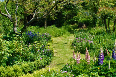 Herbaceous Borders and Orchard