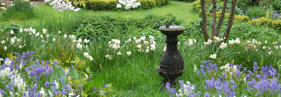 The Joy of Bulbs