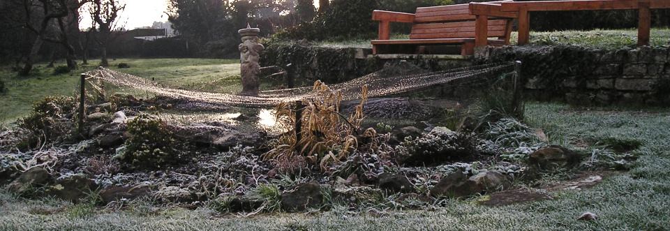 Gardens in Winter