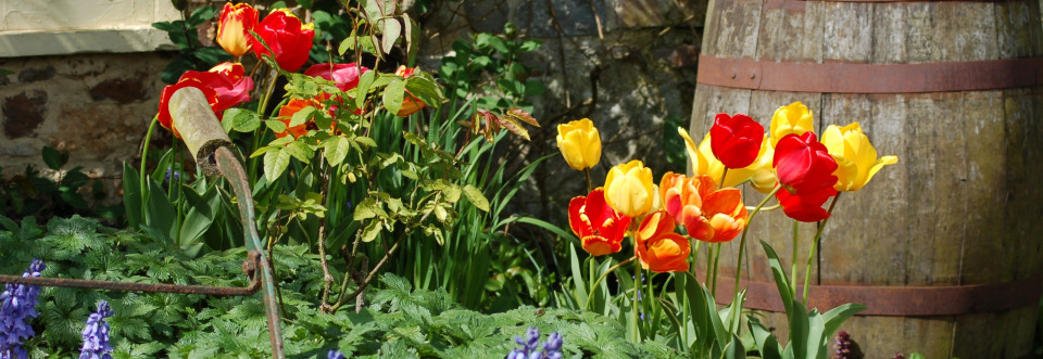 Gardens in Spring