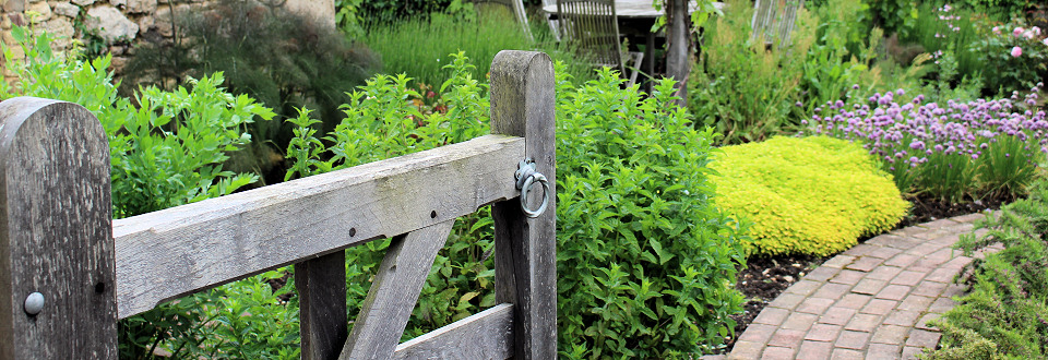 Gardens in Summer
